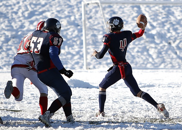 球迷的心 球迷的心