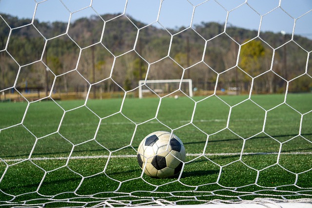 特的足球哲 特的足球哲