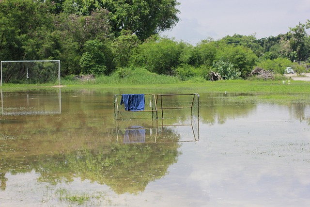 经验与策略 经验与策略