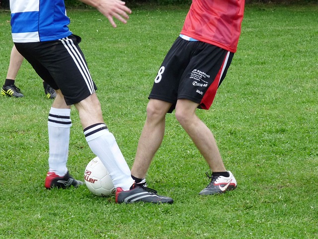 積極的影響 積極的影響