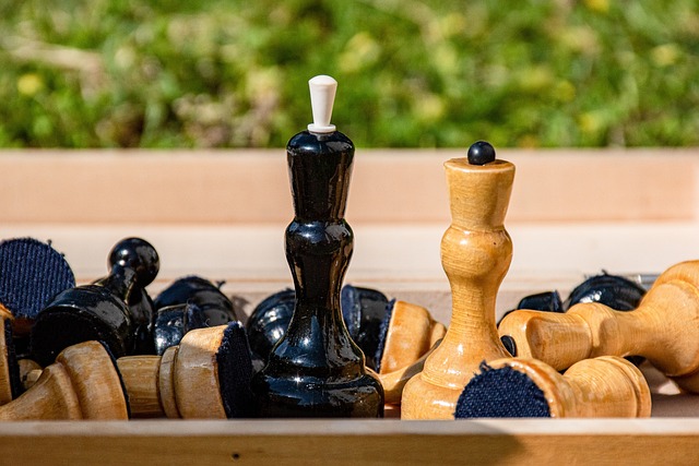 带来了一个 带来了一个