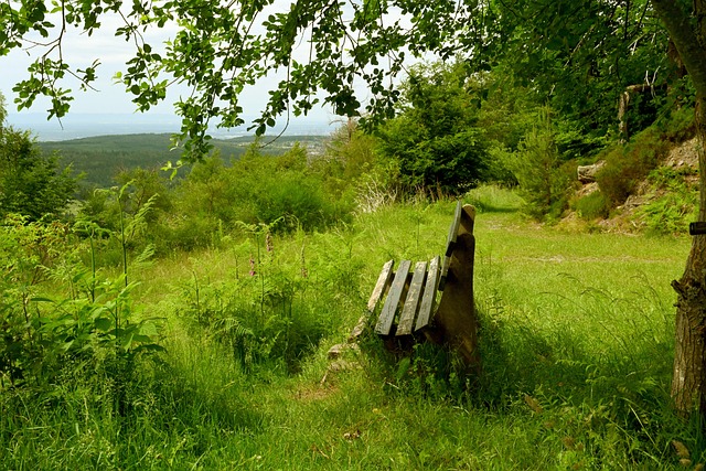 人惋惜的是 人惋惜的是