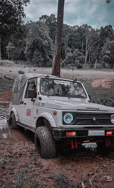 为冲击金球 为冲击金球